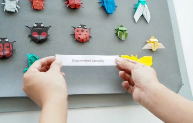 「Origami Insect collecting」と印刷したタイトルラベルを折り紙昆虫ディスプレイに貼る手順