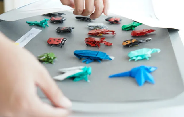 折り紙昆虫を並べた台紙をペーパーフレームに差し込む作業手順