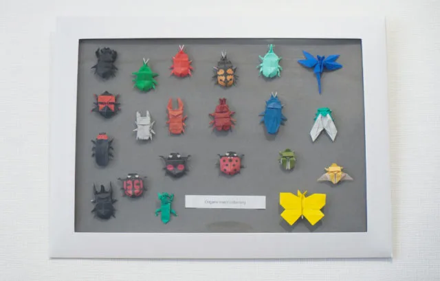 折り紙の昆虫コレクションをペーパーフレームに飾った展示