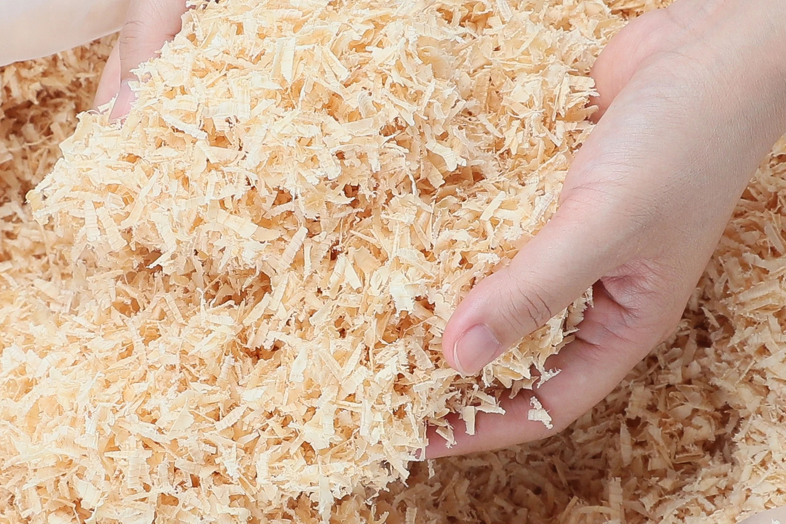 ヒノキの消臭・除湿パック 30g